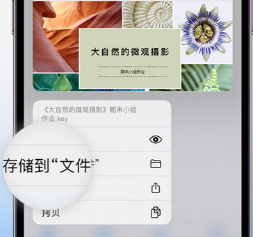 当涂apple维修中心分享iPhone文件应用中存储和找到下载文件