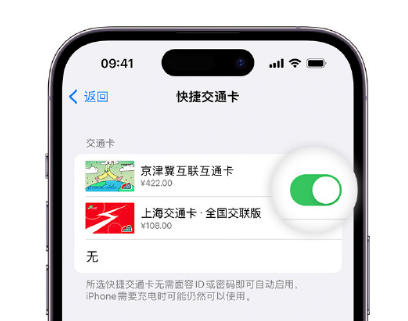 当涂apple维修点分享iPhone上更换Apple Pay快捷交通卡手绘卡面 