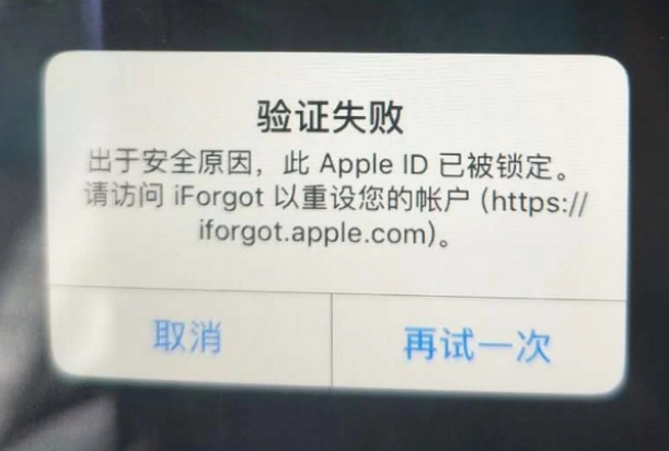 当涂iPhone维修分享iPhone上正常登录或使用AppleID怎么办 