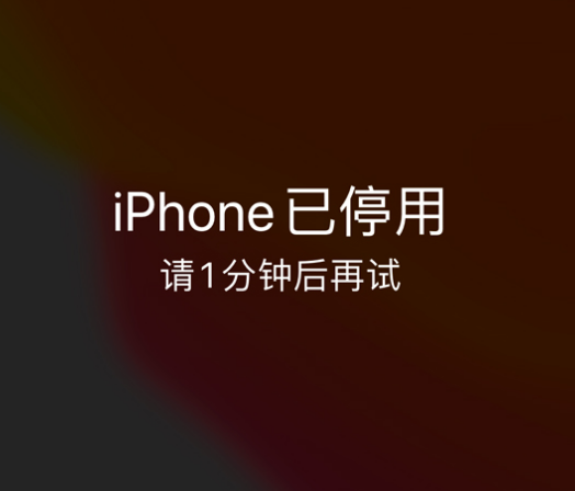 当涂苹果手机维修分享:iPhone 显示“不可用”或“已停用”怎么办？还能保留数据吗？ 