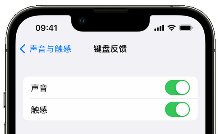 当涂苹果手机维修分享iPhone 14触感键盘使用方法 