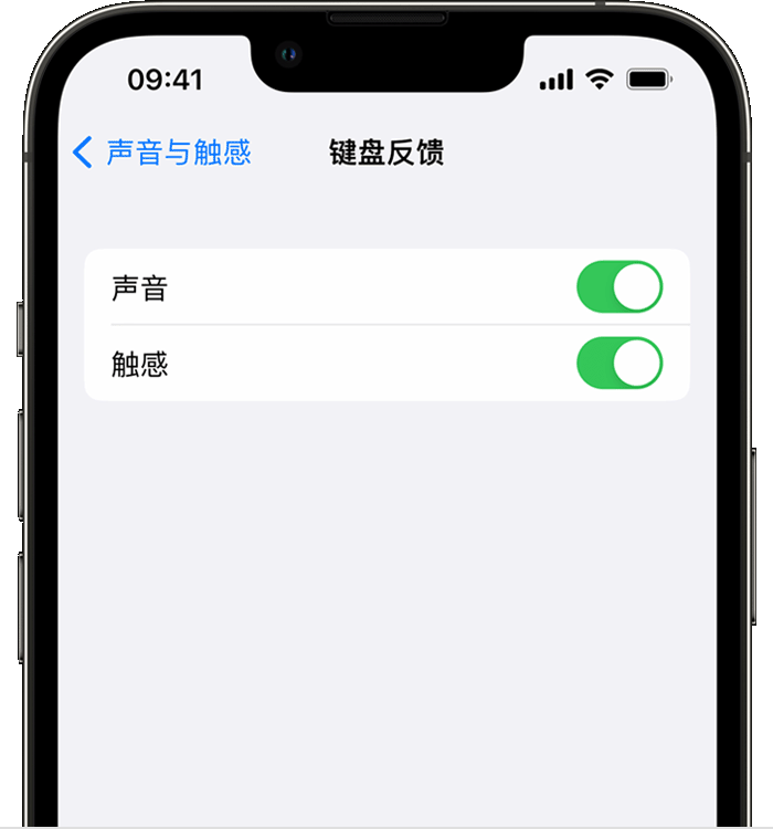 当涂苹果14维修店分享如何在 iPhone 14 机型中使用触感键盘 