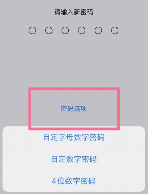 当涂苹果14维修分享iPhone 14plus设置密码的方法 