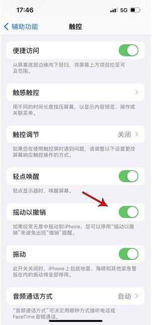 当涂苹果手机维修分享iPhone手机如何设置摇一摇删除文字 